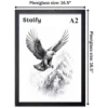 A2 Eagle Framed Wall Art Print with Plexiglass | Stalfy