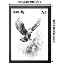 A2 Eagle Framed Wall Art Print with Plexiglass | Stalfy